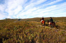 South Africa-The Cape-Southern Cape Trek